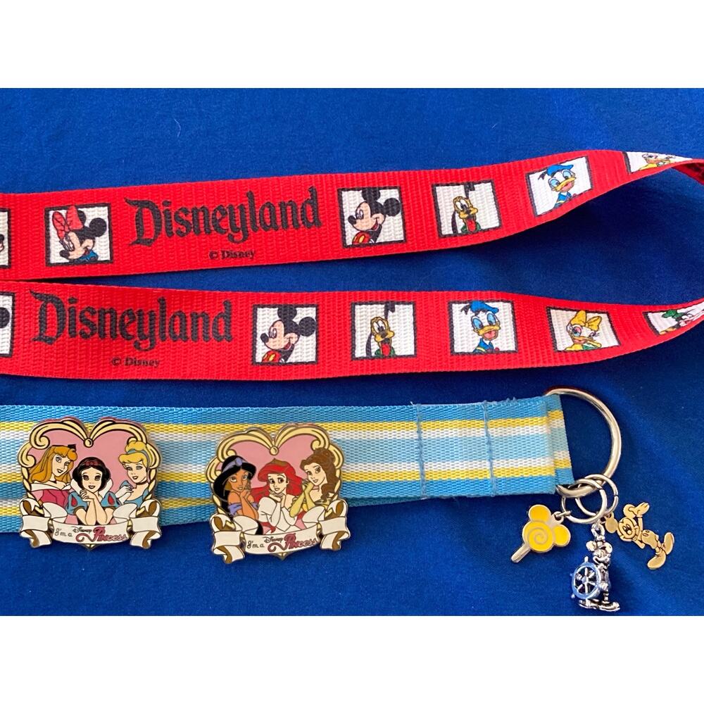 Disney Collector Pins and Charms With Lanyards Disney Princesses Mickey Mouse